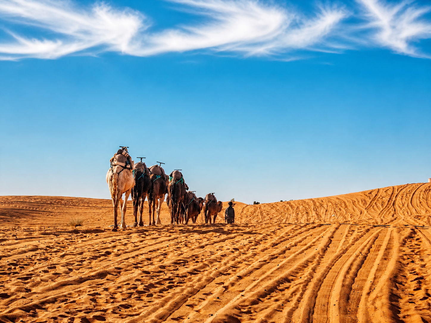 Viajeros recorriendo el desierto del Sahara y las dunas de Erg Chebbi
